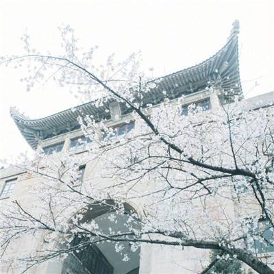云南省政府驻上海办事处召开以案促改警示教育大会